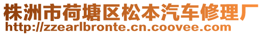 株洲市荷塘區(qū)松本汽車修理廠