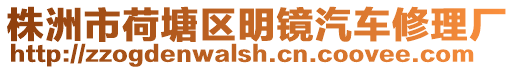 株洲市荷塘區明鏡汽車修理廠