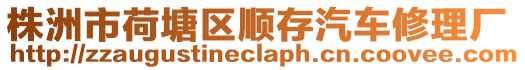 株洲市荷塘區(qū)順存汽車修理廠