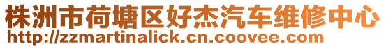 株洲市荷塘區(qū)好杰汽車維修中心