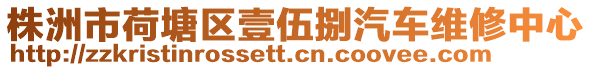株洲市荷塘區壹伍捌汽車維修中心