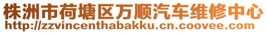 株洲市荷塘區萬順汽車維修中心
