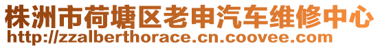 株洲市荷塘區老申汽車維修中心