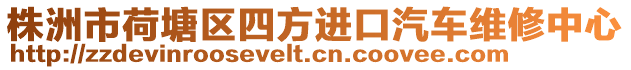 株洲市荷塘區(qū)四方進口汽車維修中心