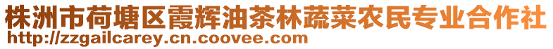 株洲市荷塘區霞輝油茶林蔬菜農民專業合作社