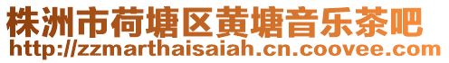 株洲市荷塘區(qū)黃塘音樂茶吧