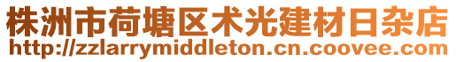 株洲市荷塘區(qū)術(shù)光建材日雜店