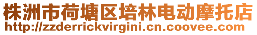 株洲市荷塘區(qū)培林電動摩托店
