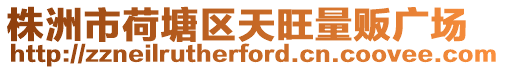 株洲市荷塘區(qū)天旺量販廣場