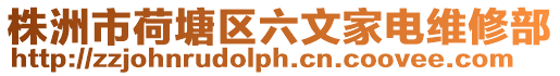 株洲市荷塘區六文家電維修部