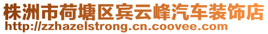 株洲市荷塘區(qū)賓云峰汽車裝飾店