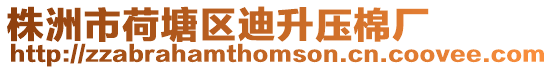 株洲市荷塘區迪升壓棉廠