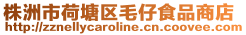 株洲市荷塘區毛仔食品商店