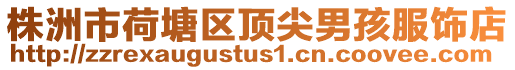 株洲市荷塘區(qū)頂尖男孩服飾店