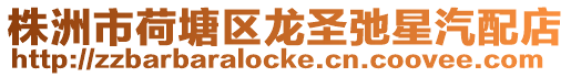 株洲市荷塘區(qū)龍圣弛星汽配店