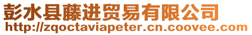 彭水縣藤進貿(mào)易有限公司