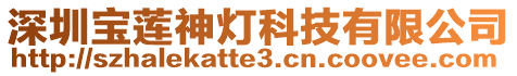 深圳寶蓮神燈科技有限公司