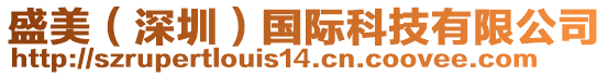 盛美(深圳)國際科技有限公司