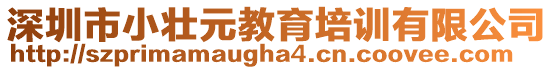 深圳市小壯元教育培訓(xùn)有限公司