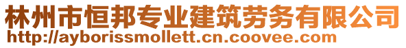 林州市恒邦專業(yè)建筑勞務(wù)有限公司