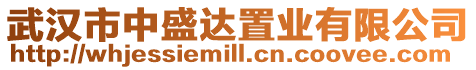 武漢市中盛達置業有限公司
