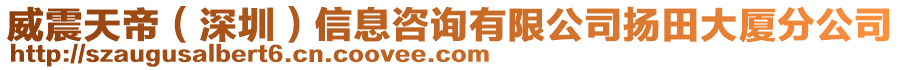 威震天帝（深圳）信息咨詢有限公司揚(yáng)田大廈分公司