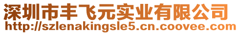 深圳市豐飛元實業(yè)有限公司