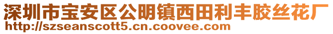 深圳市寶安區公明鎮西田利豐膠絲花廠