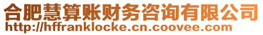 合肥慧算賬財務咨詢有限公司