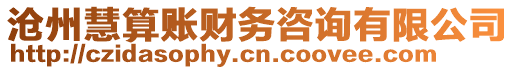 滄州慧算賬財(cái)務(wù)咨詢(xún)有限公司