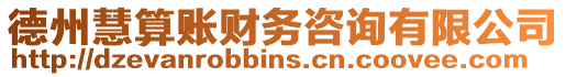 德州慧算賬財務咨詢有限公司