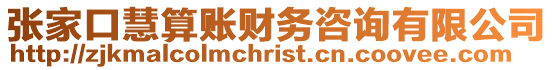 張家口慧算賬財(cái)務(wù)咨詢有限公司
