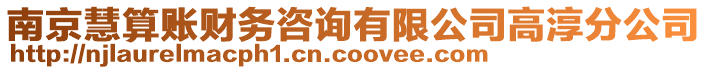 南京慧算賬財務咨詢有限公司高淳分公司