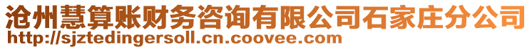 滄州慧算賬財務(wù)咨詢有限公司石家莊分公司