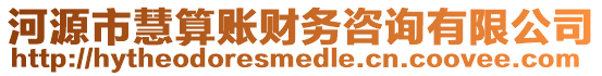 河源市慧算賬財務咨詢有限公司