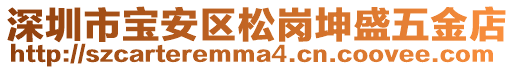 深圳市寶安區(qū)松崗坤盛五金店