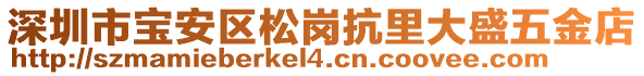 深圳市寶安區(qū)松崗抗里大盛五金店