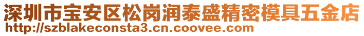 深圳市寶安區(qū)松崗潤泰盛精密模具五金店