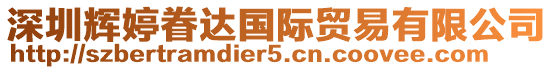 深圳輝婷眷達(dá)國(guó)際貿(mào)易有限公司