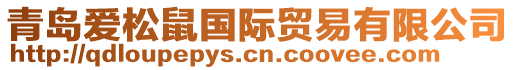 青島愛(ài)松鼠國(guó)際貿(mào)易有限公司