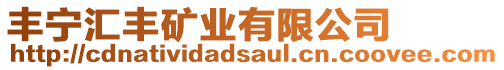 豐寧匯豐礦業(yè)有限公司