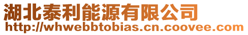 湖北泰利能源有限公司
