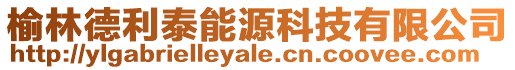 榆林德利泰能源科技有限公司