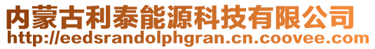 內蒙古利泰能源科技有限公司