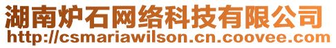 湖南爐石網絡科技有限公司
