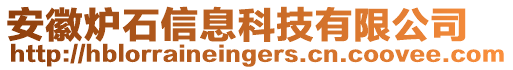 安徽爐石信息科技有限公司