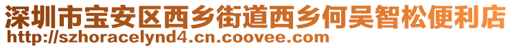 深圳市寶安區西鄉街道西鄉何吳智松便利店