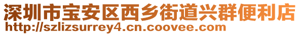 深圳市寶安區西鄉街道興群便利店