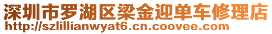 深圳市羅湖區梁金迎單車修理店