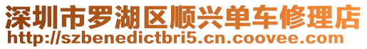 深圳市羅湖區順興單車修理店